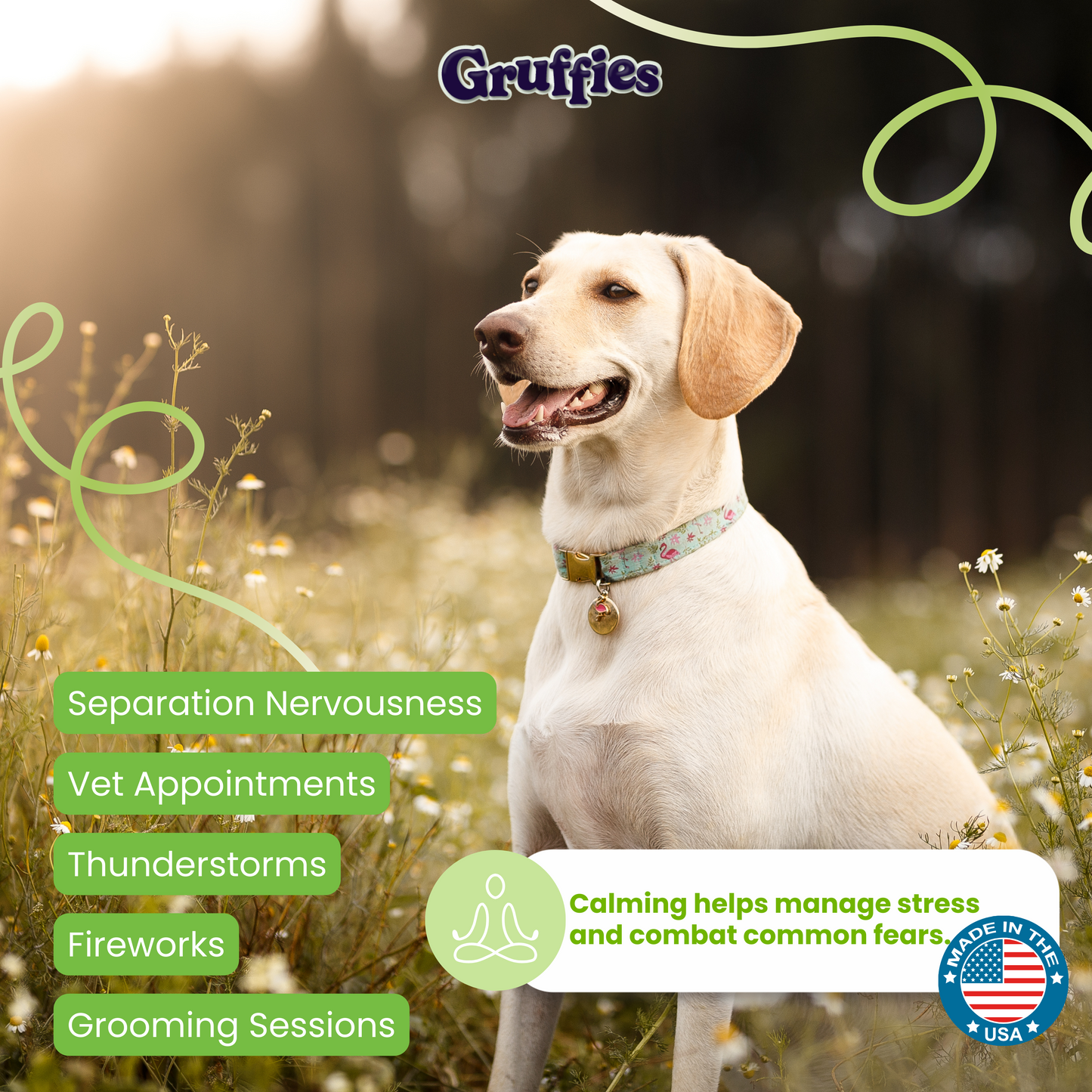All-Natural Dog Treats With Superfoods