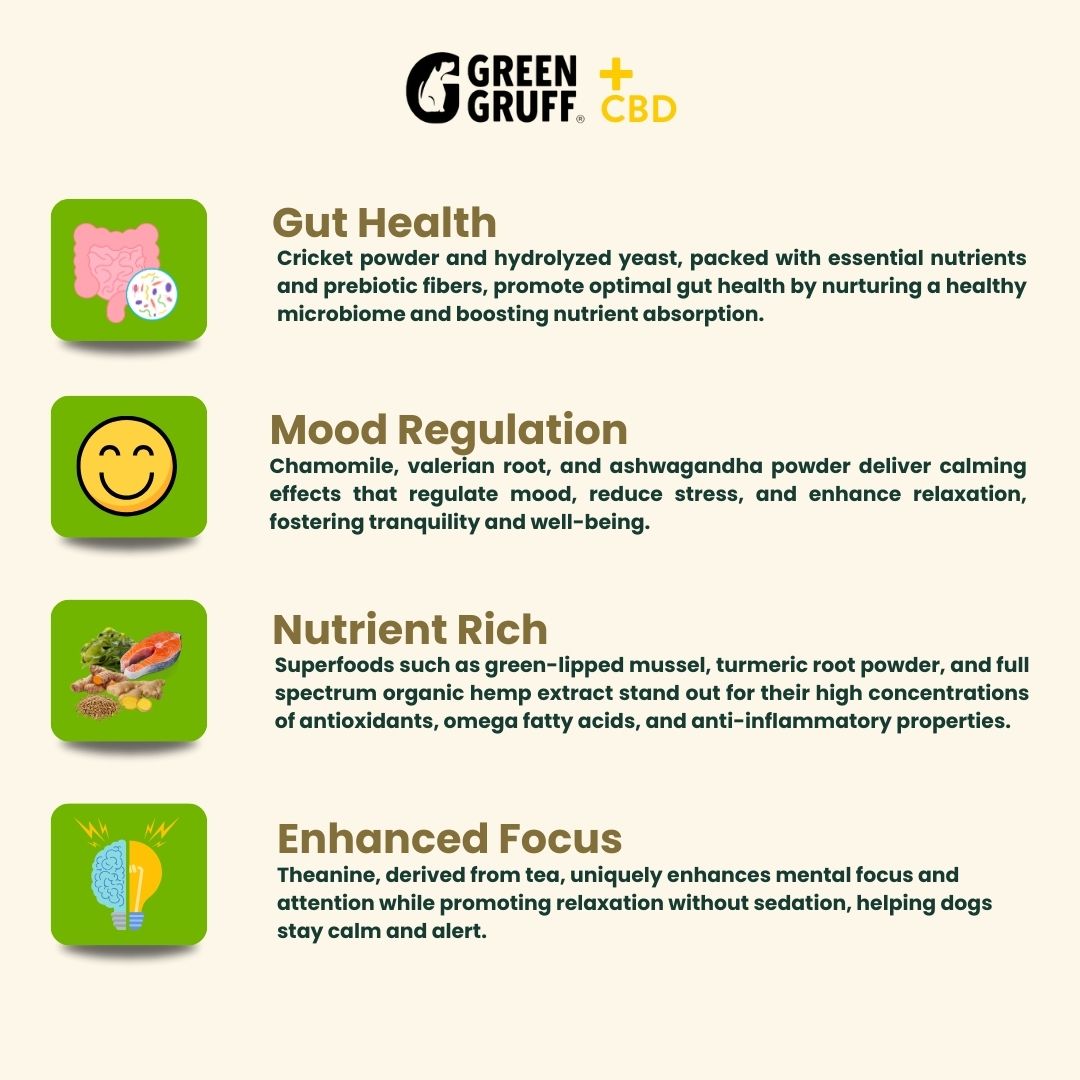 Healthy Routine Pack