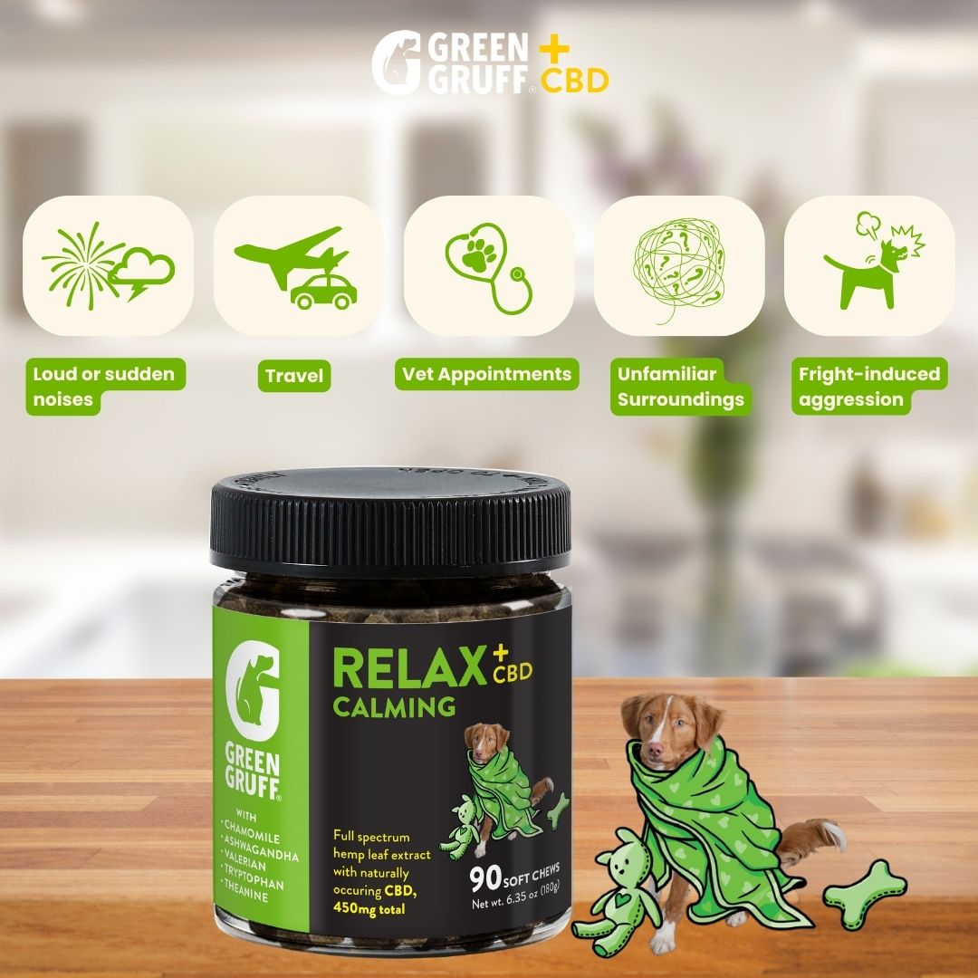 Healthy Routine Pack