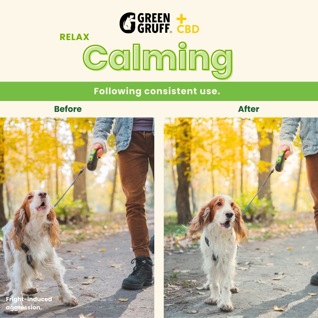 Calming CBD Supplements For Dogs
