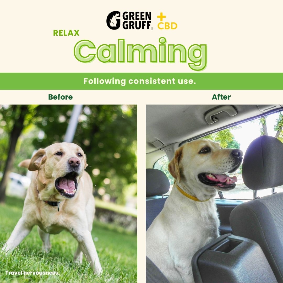 Calming CBD Supplements For Dogs