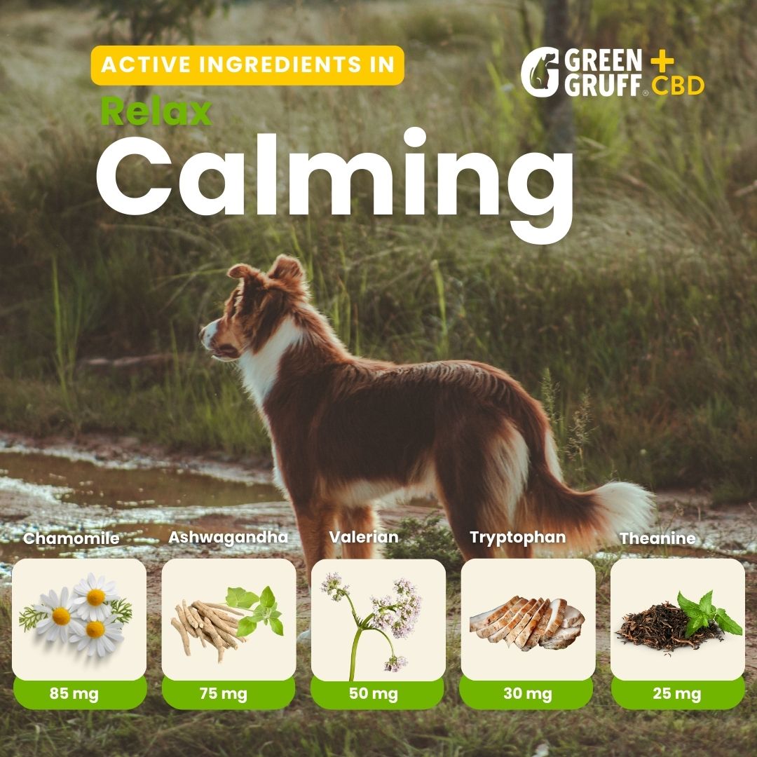 Calming CBD Supplements For Dogs