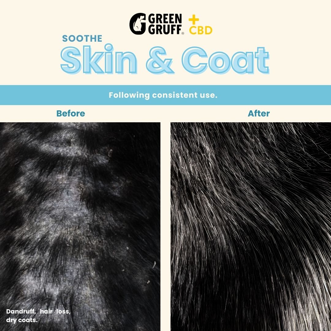 Skin & Coat CBD Supplements For Dogs
