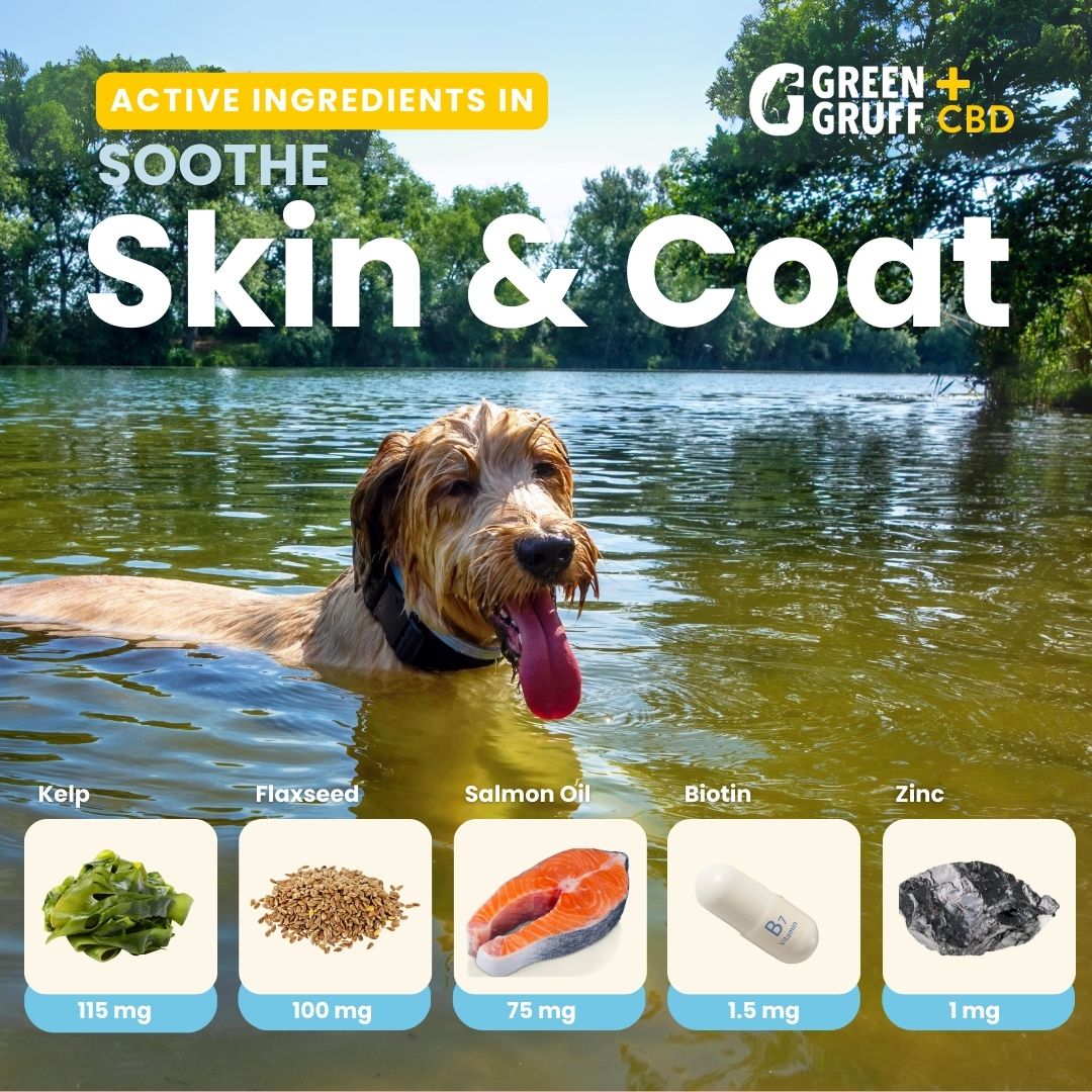 Skin & Coat CBD Supplements For Dogs