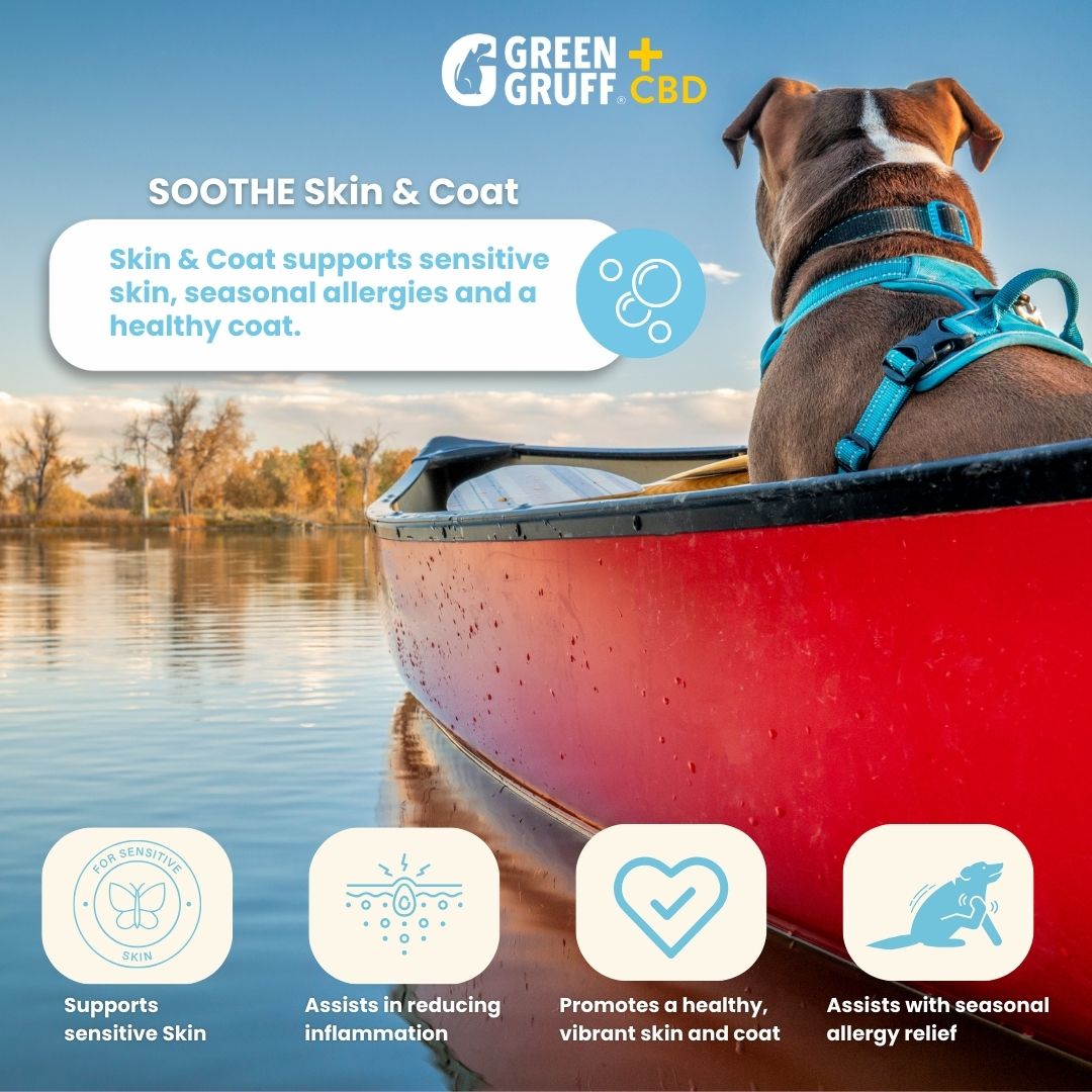 Skin & Coat CBD Supplements For Dogs
