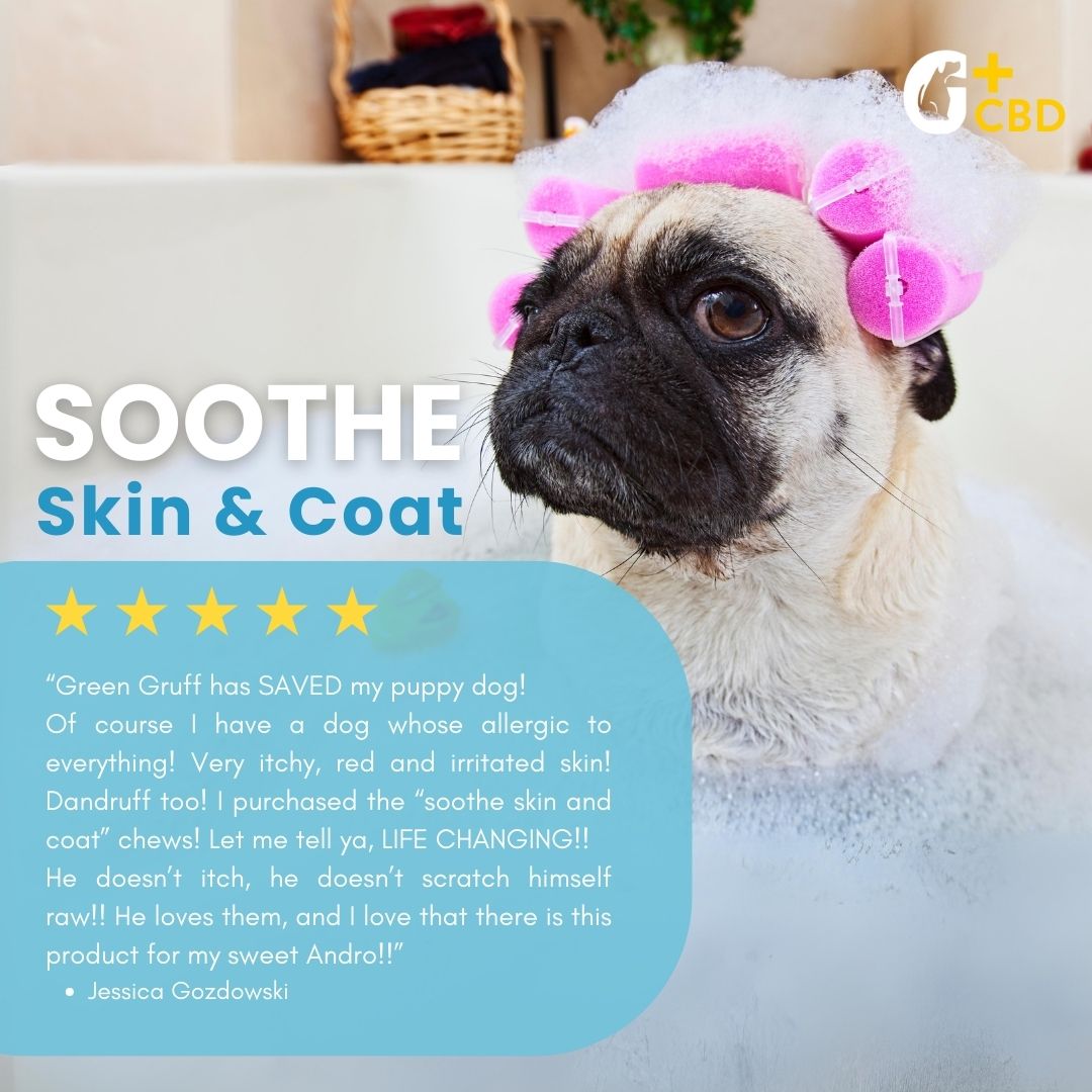 Skin & Coat CBD Supplements For Dogs