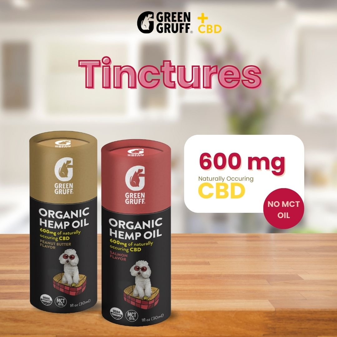 Organic CBD Tinctures For Dogs
