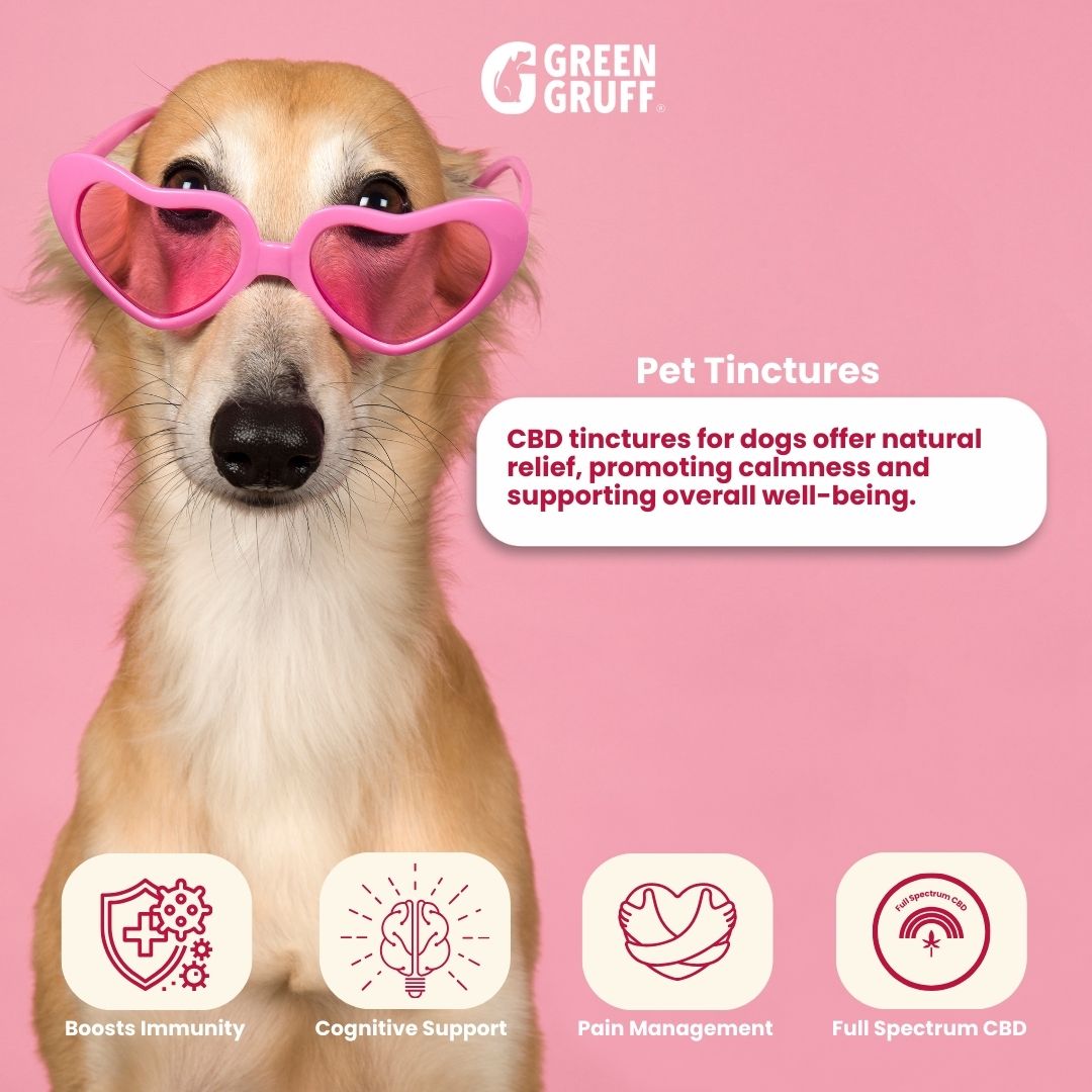 Organic CBD Tinctures For Dogs
