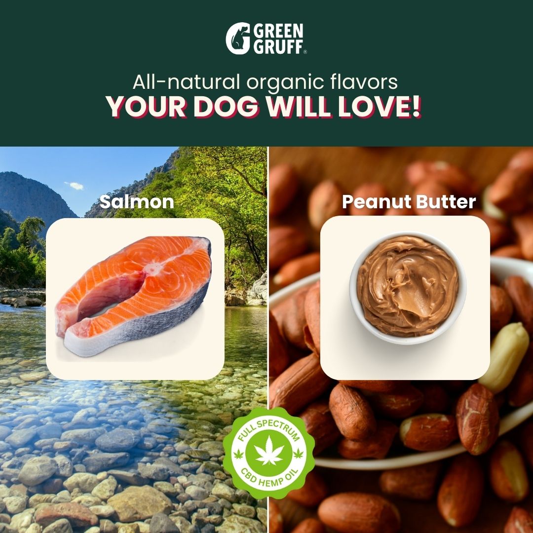 Organic CBD Tinctures For Dogs