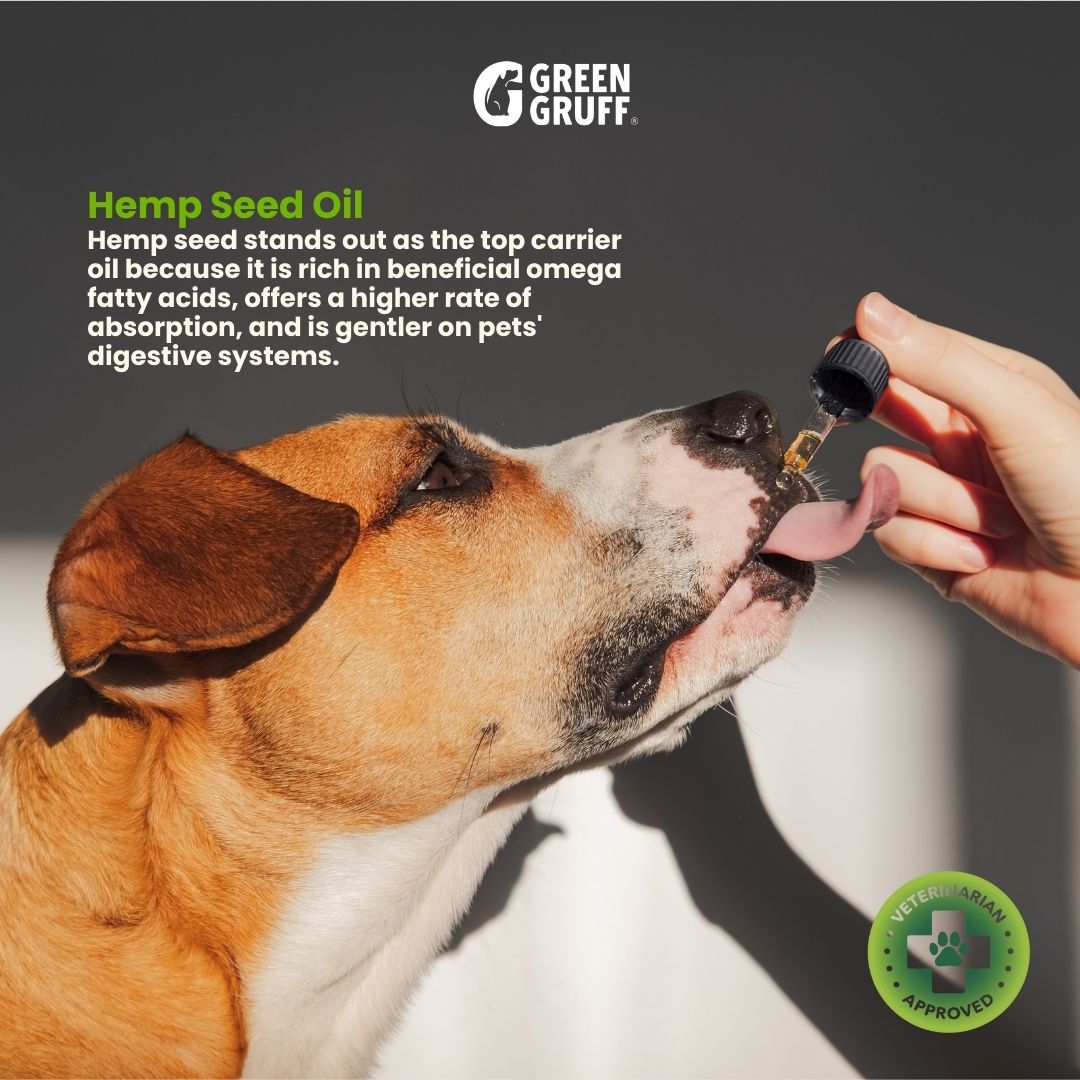 Organic CBD Tinctures For Dogs
