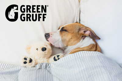 How Much Sleep Does Your Dog Need? Dogs Play Hard But Sleep Harder!