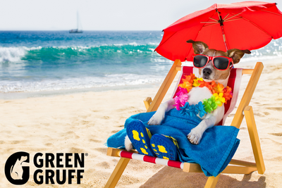 Want to Keep Your Dog Cool and Comfy This Summer? Here Are 15 Ways to Have a Pet-Safe Summer