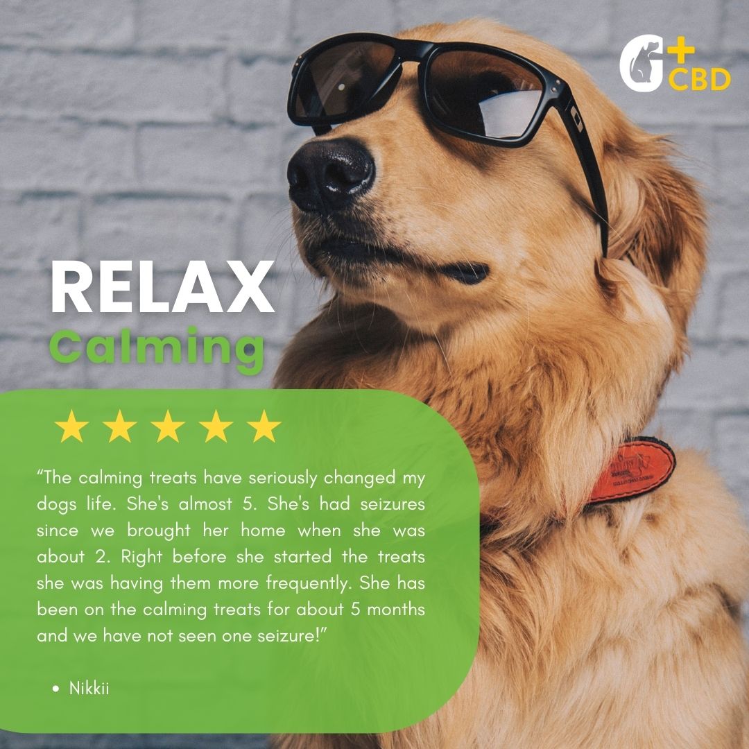 RELAX Calming Mood Support CBD Dog Chews Green Gruff